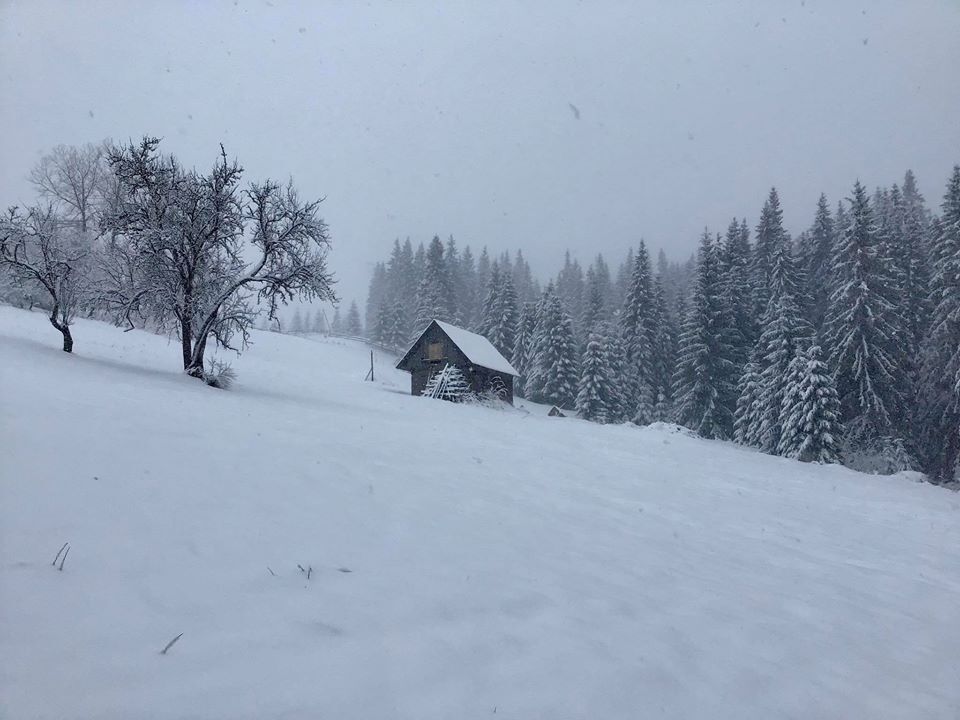 Украинские Карпаты завалило снегом: появились яркие фото и видео