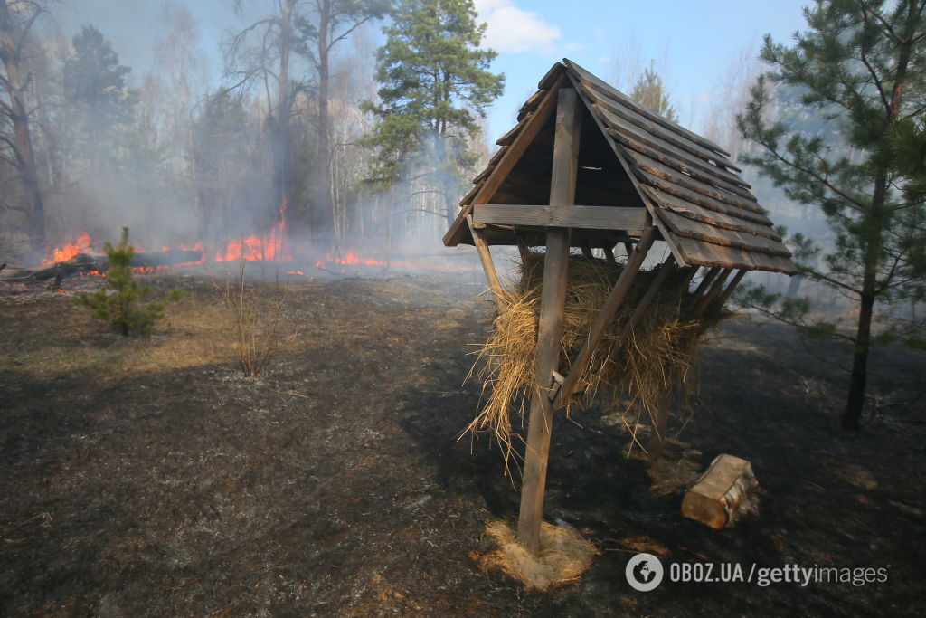 Пожежа в Чорнобильській зоні може стати міжнаціональною