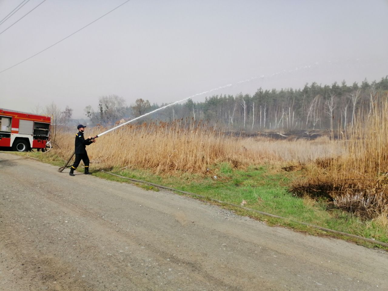 Огонь перекинулся на лес: в Киеве горел Голосеевский парк