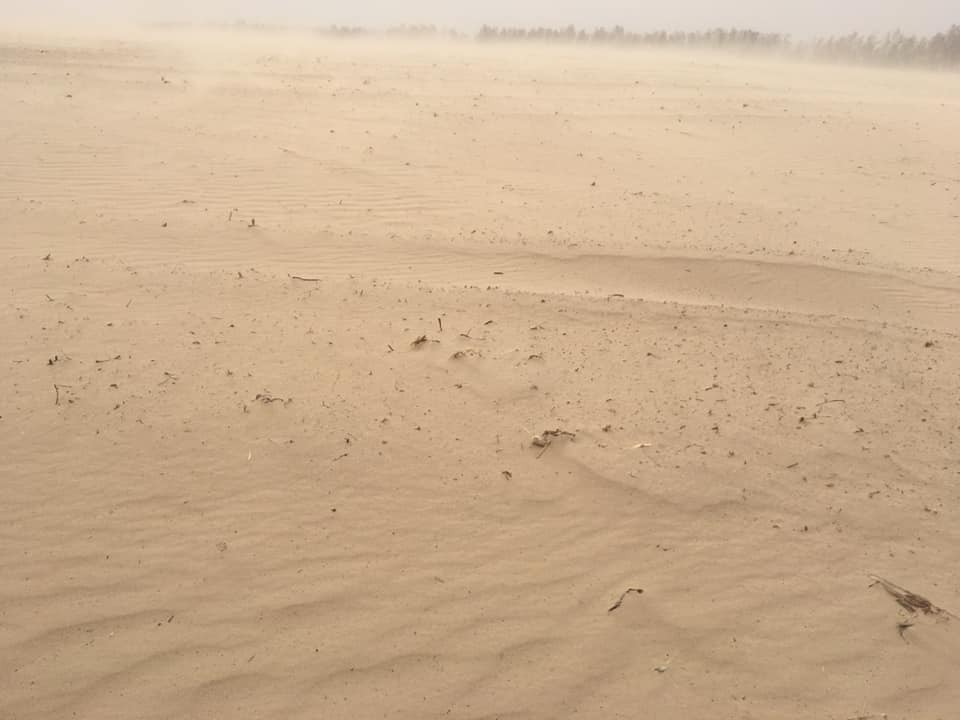Последствия песчаной бури на Черниговщине