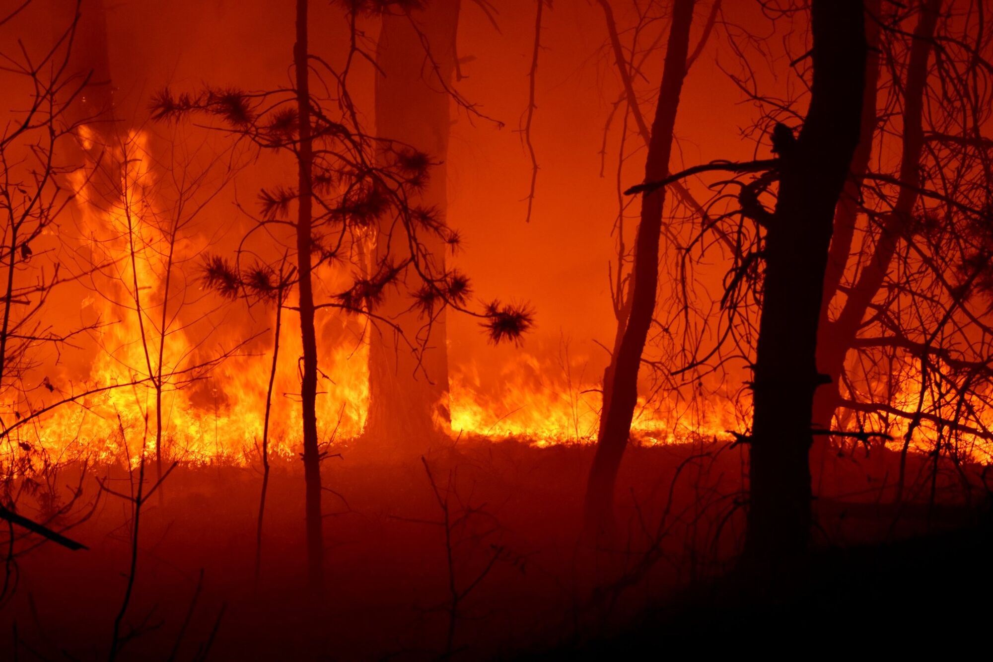 Житомирщину охватили масштабные пожары