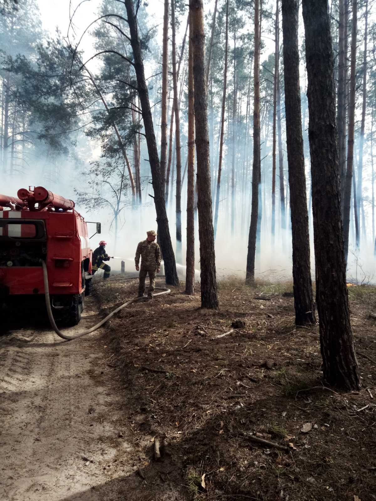 Пожежа в Голосіївському парку