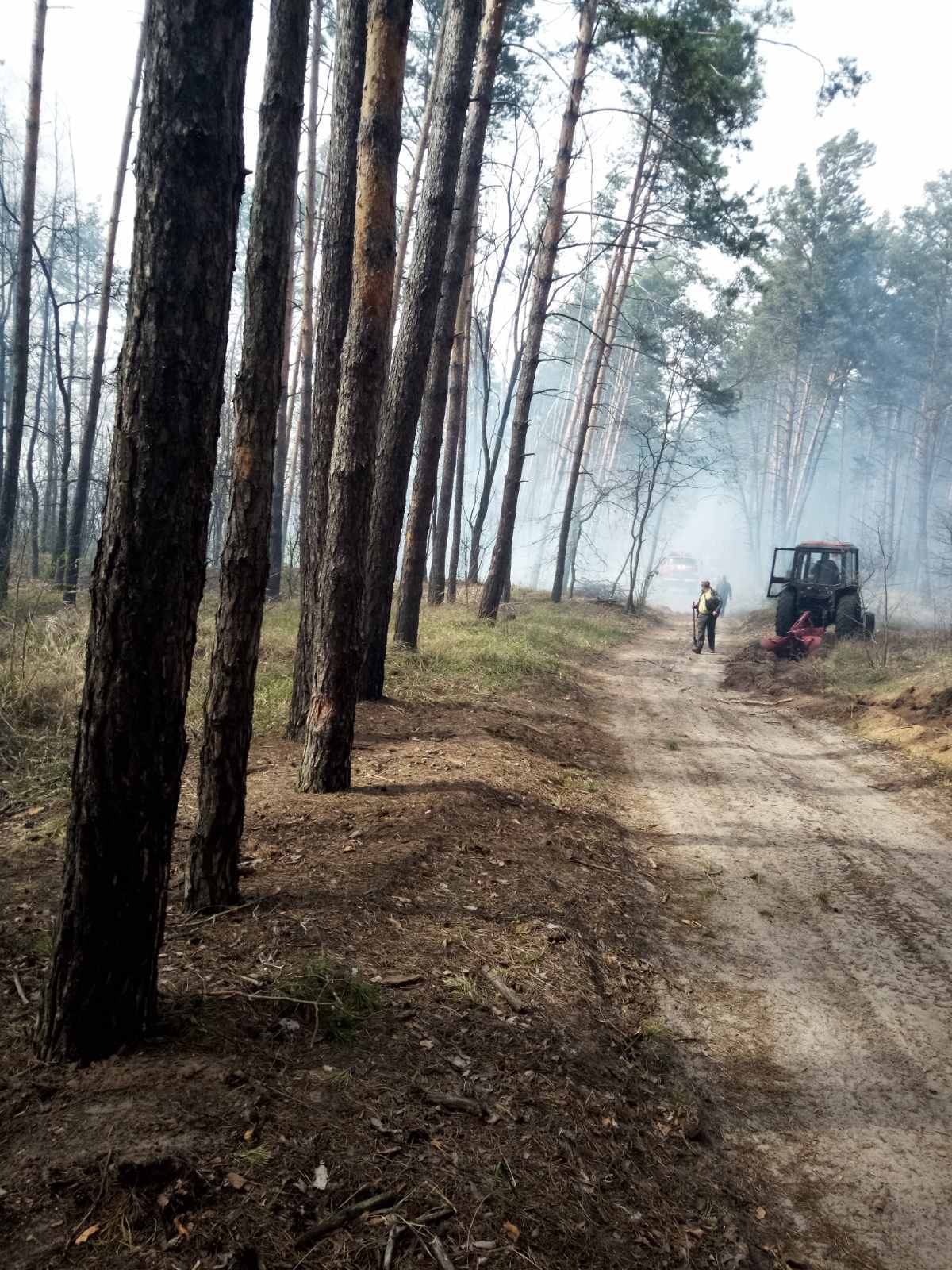 Пожежа в Голосіївському парку