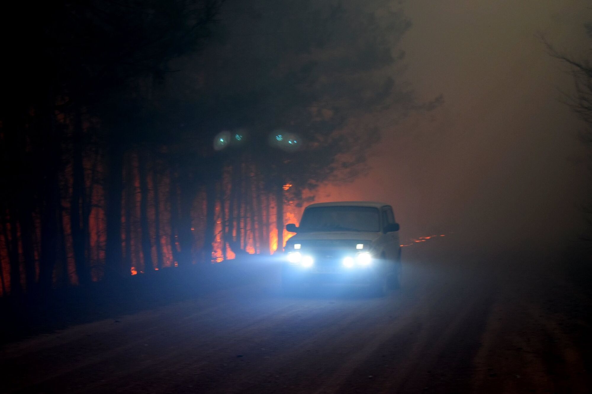 Житомирщину охопили масштабні пожежі