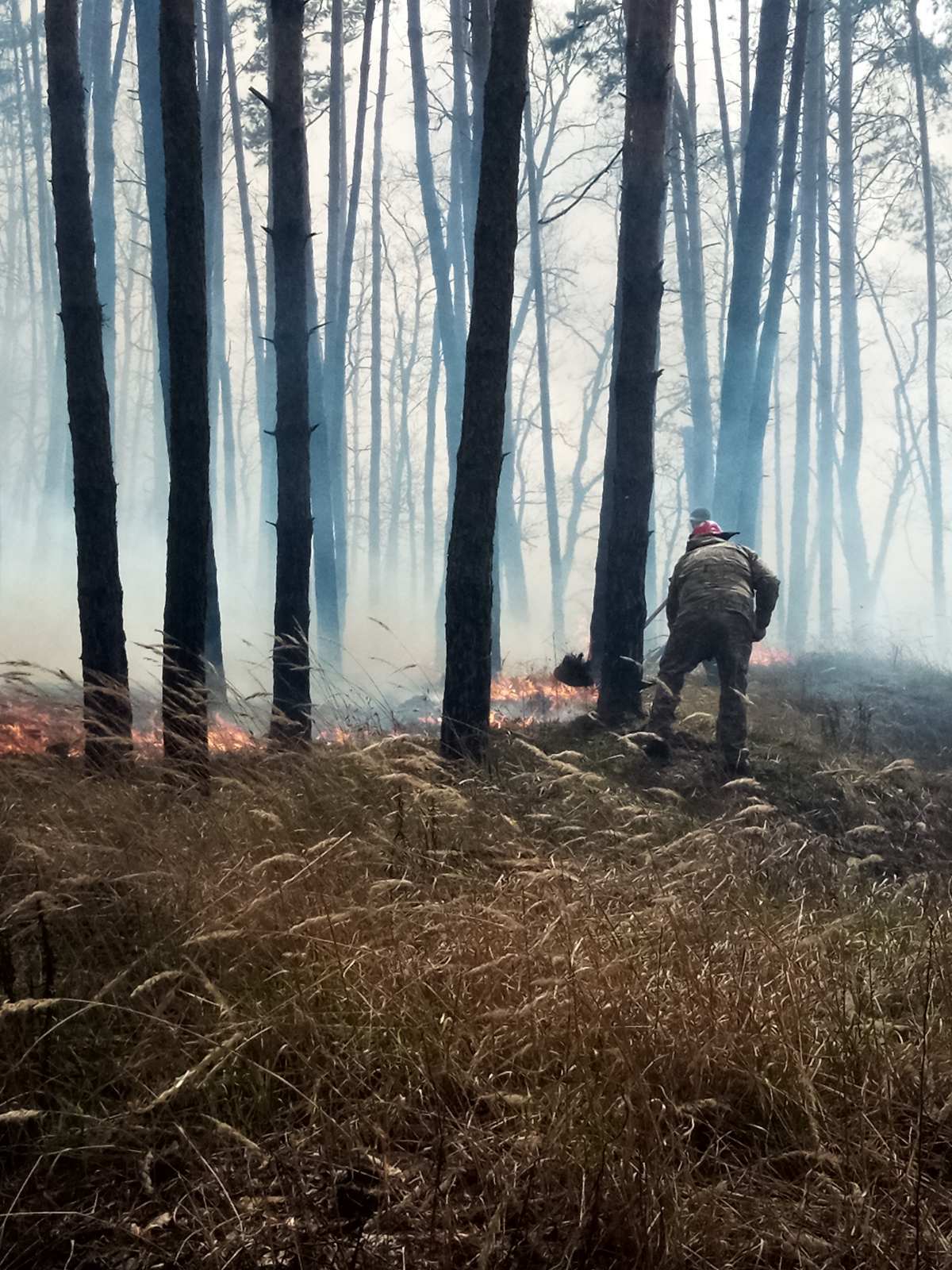 Пожар в Голосеевском парке
