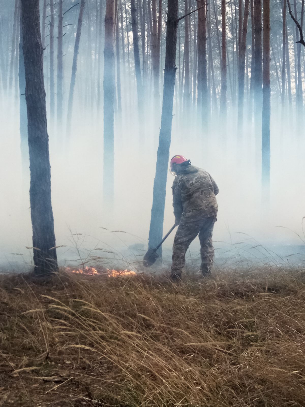 Пожар в Голосеевском парке