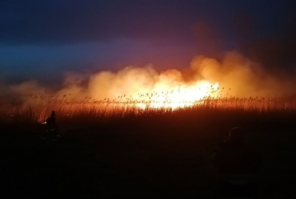 Пожары на Днепропетровщине