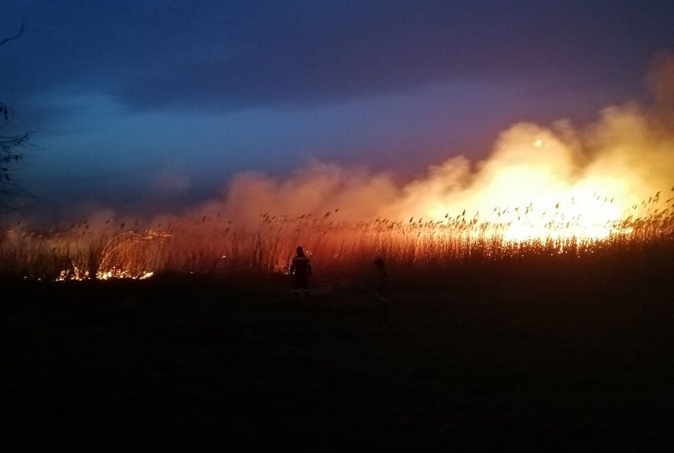 Пожары на Днепропетровщине