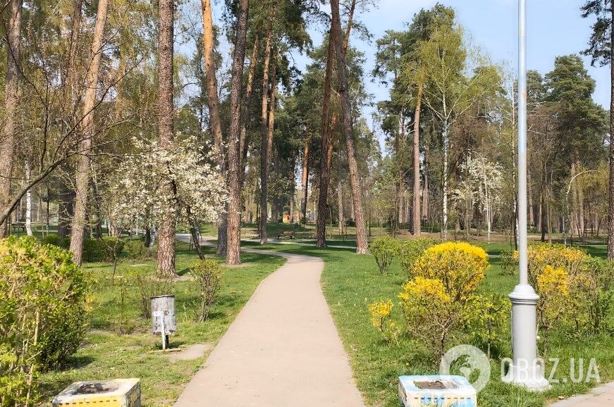 У Києві перед Великоднем посилили карантин: що відбувається в столиці через коронавірус. Фото