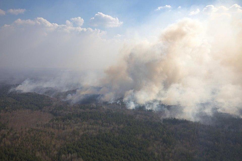 Появились новые фото и видео борьбы с пожарами на Киевщине и Житомирщине