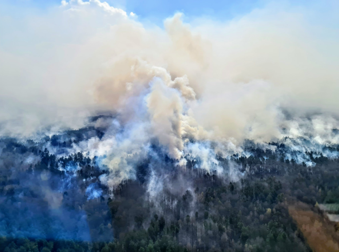 Вигоріло майже 5 тисяч га: Аваков сказав, коли погасять пожежі на Житомирщині