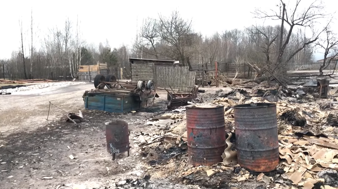Наслідки пожеж на Житомирщині