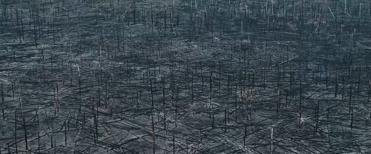 Наслідки пожеж у Чорнобилі