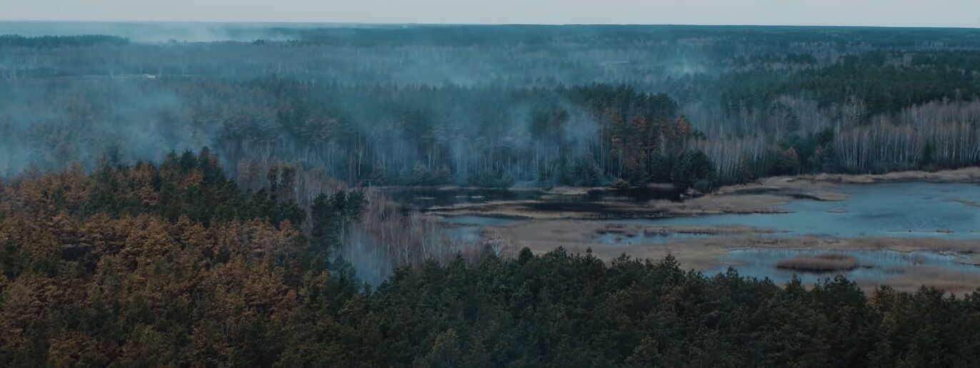 У мережі показали Чорнобиль після пожежі. Жахливе відео