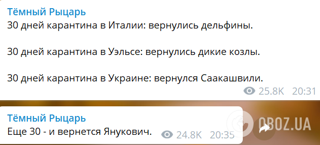 Саакашвили хотят дать должность в Кабмине: в Украине разгорелся ажиотаж