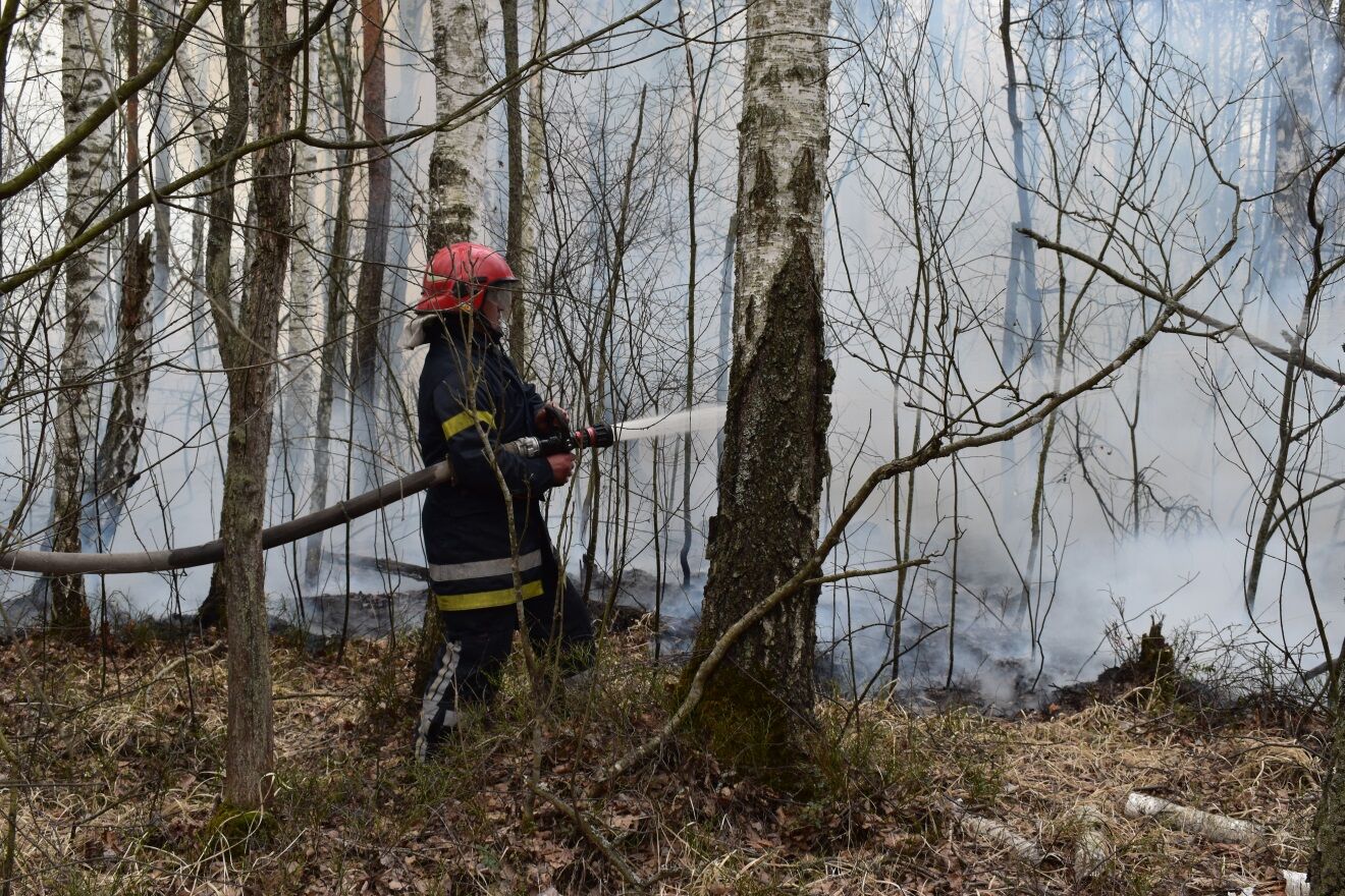 На Житомирщині розгорілися нові пожежі: підняли авіацію