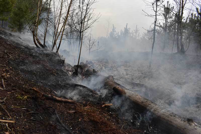 На Житомирщині розгорілися нові пожежі