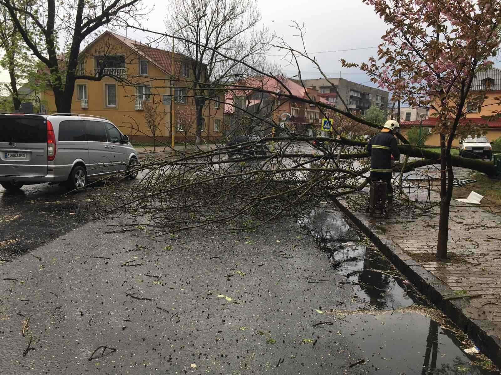 На Закарпатье разбушевался ураган: ветер сорвал крыши, в горах выпал снег. Фото и видео