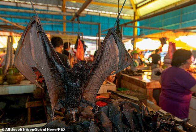 В Індонезії знайшли ринок з дикими тваринами