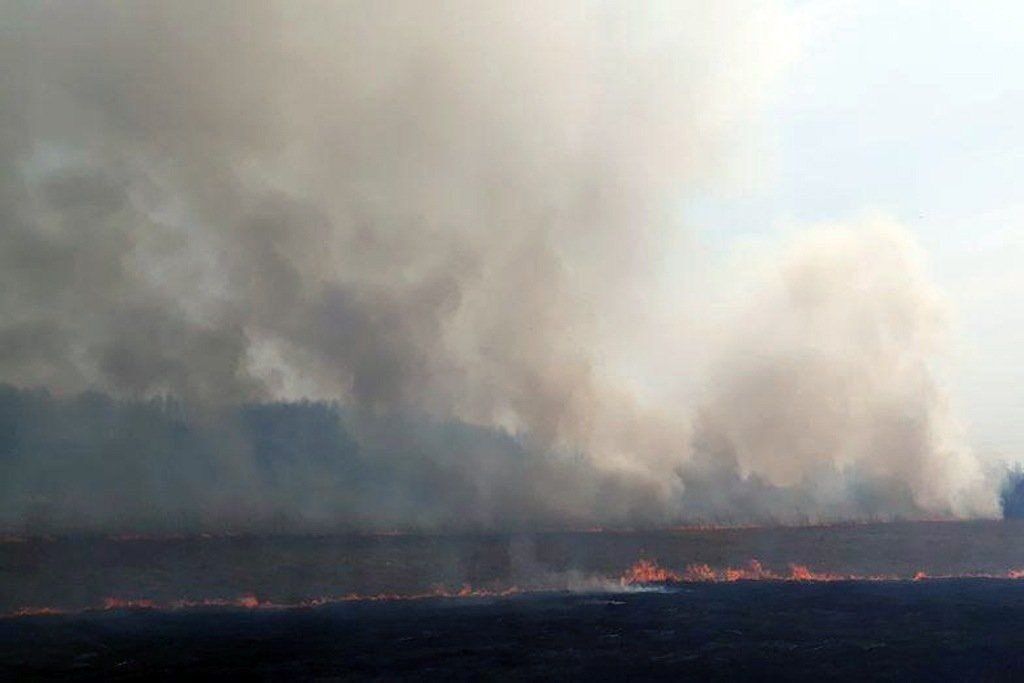 Пожежі в Сибіру