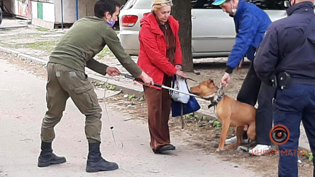 Рвані рани на животі, роздерта нога: в Дніпрі бійцівський пес напав на дитину і поліцейського