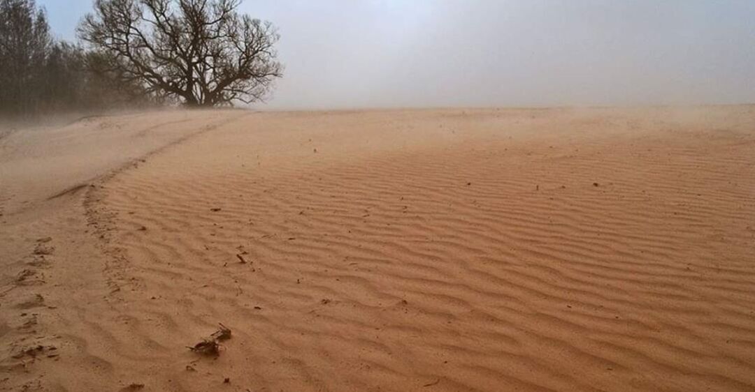 Поля в Черниговской области после пыльной бури