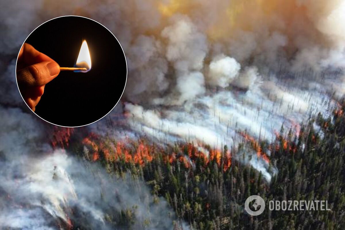 За підпали в Чорнобильській зоні необхідно жорстко карати, сказав еколог