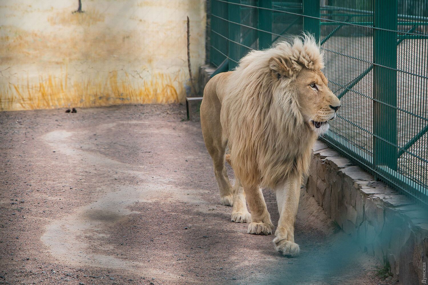 Одесский контактный зоопарк просит денег на корм животным
