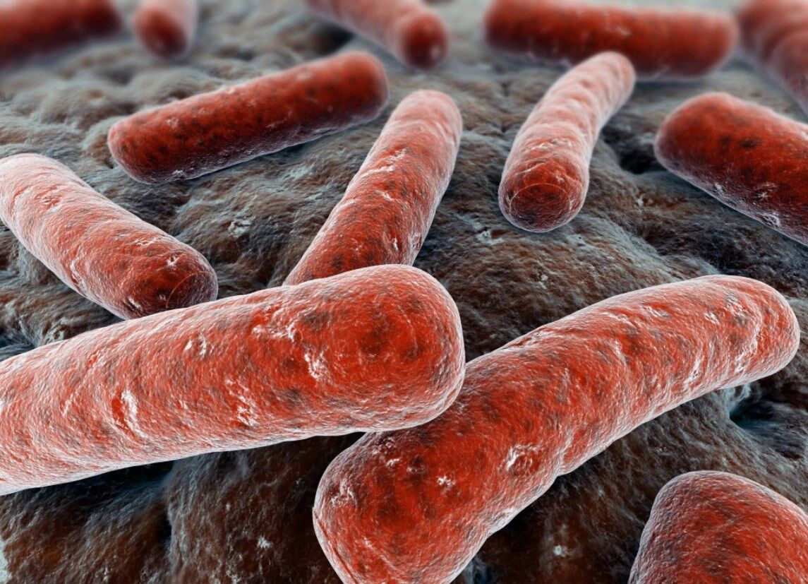 COVID-19 может активировать спящий туберкулез