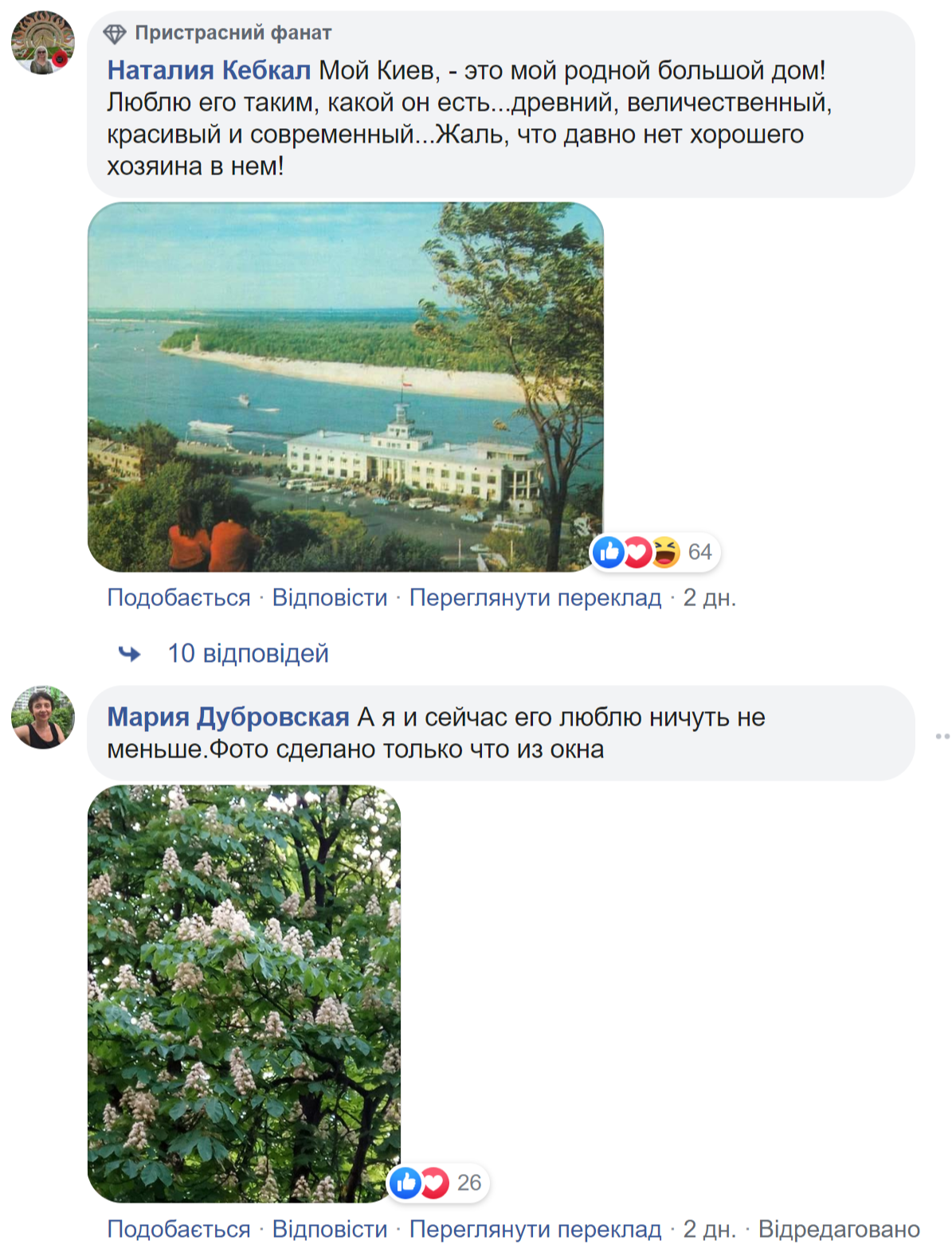 Комментарии в сети