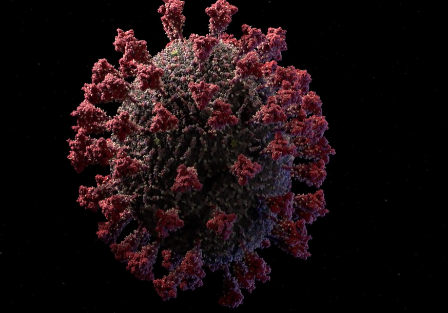 3D-модель коронавируса