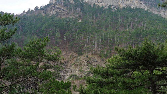 Новости Крымнаша. Они превращают Крым в выжженую землю