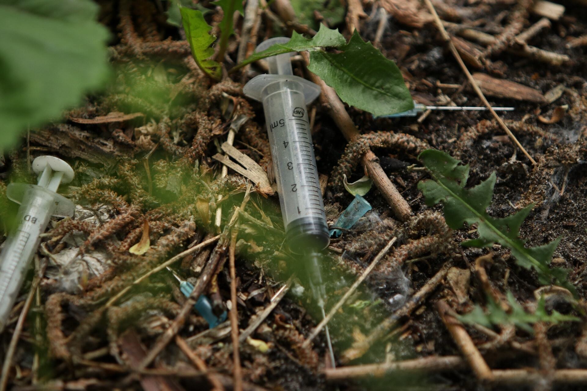 Локация находится за стоянкой