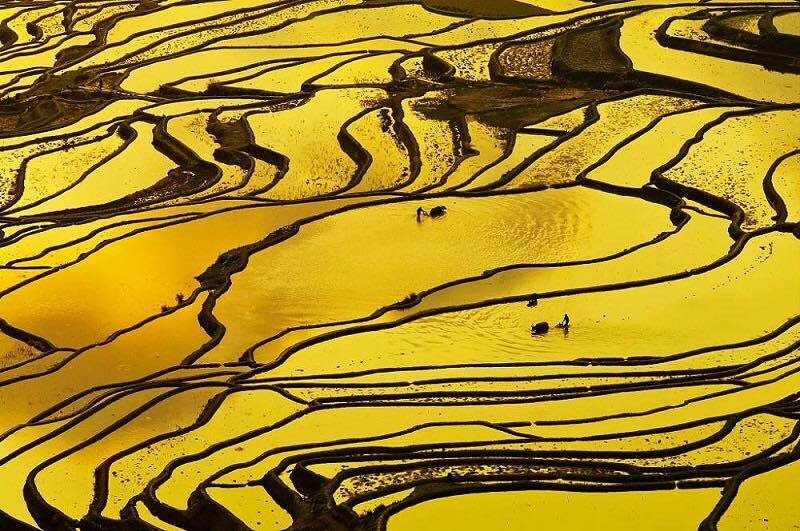 Рисовые террасы Хунхэ-Хани: холмы из множества равнин