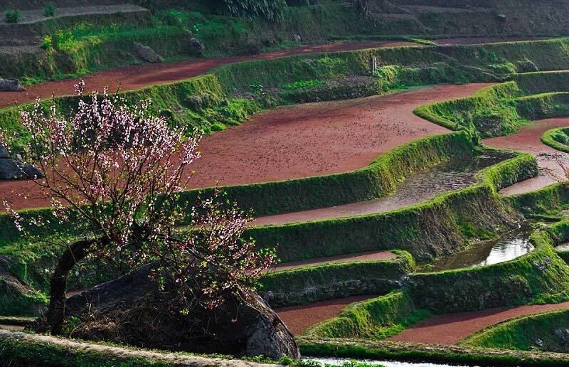 Рисовые террасы Хунхэ-Хани: холмы из множества равнин