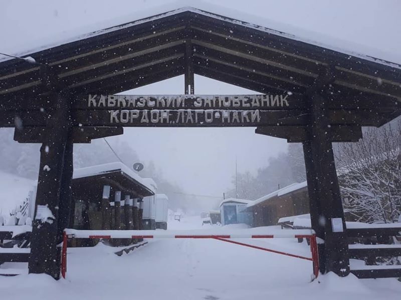 На півдні Росії в травні випав сніг