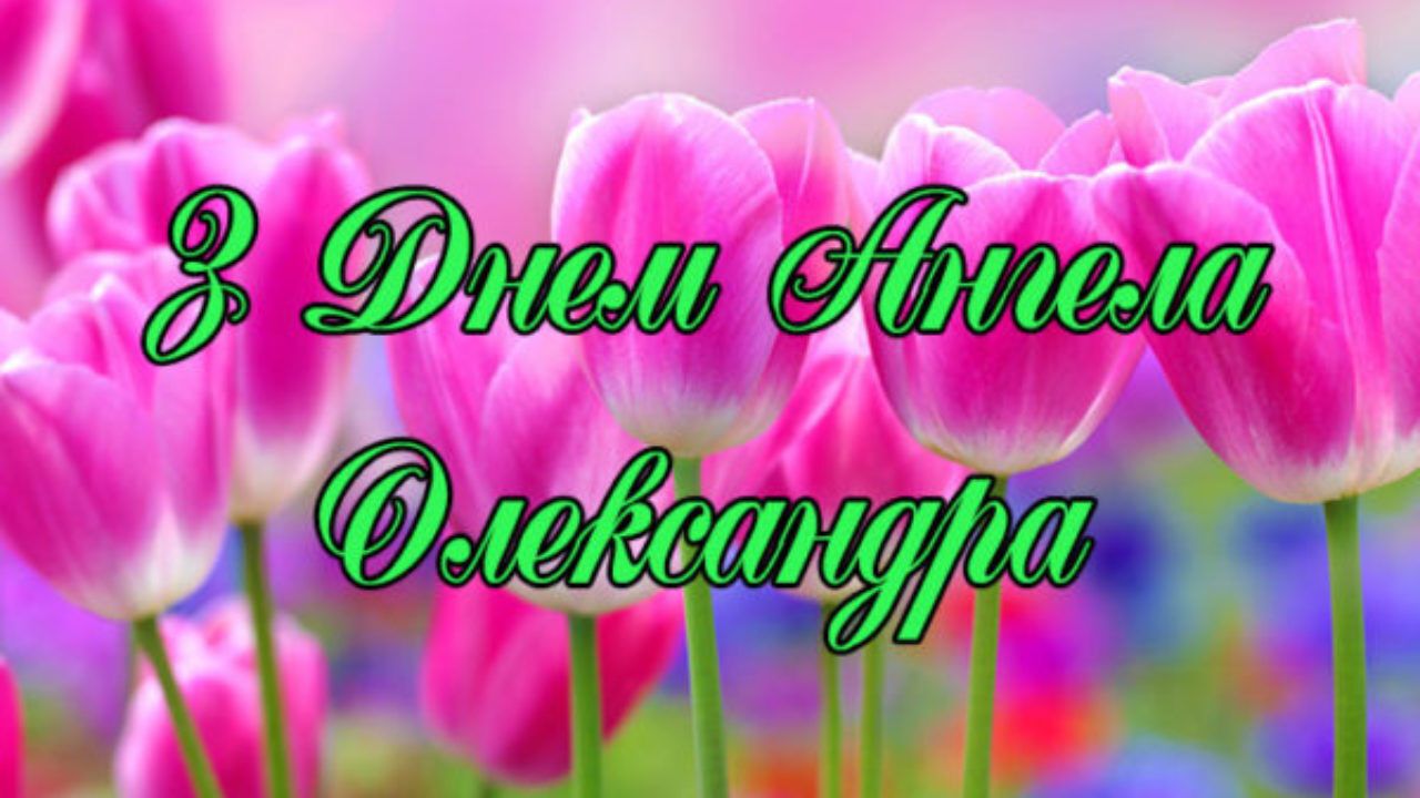 С Днем ангела Александра