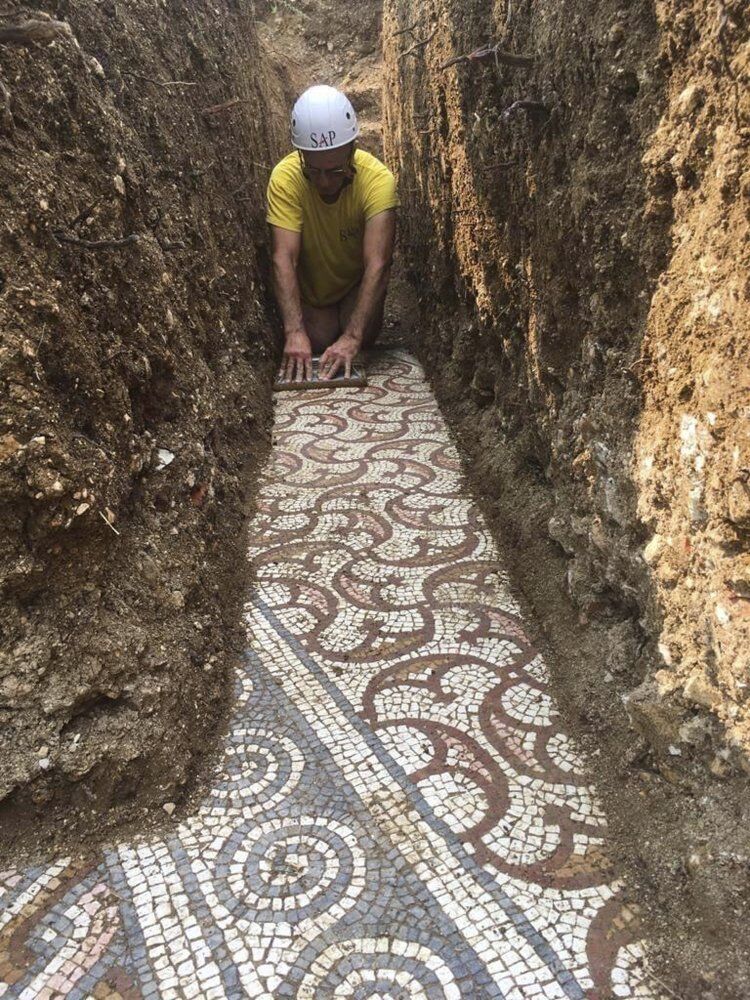 Уникальную древнеримскую мозаику обнаружили в Италии