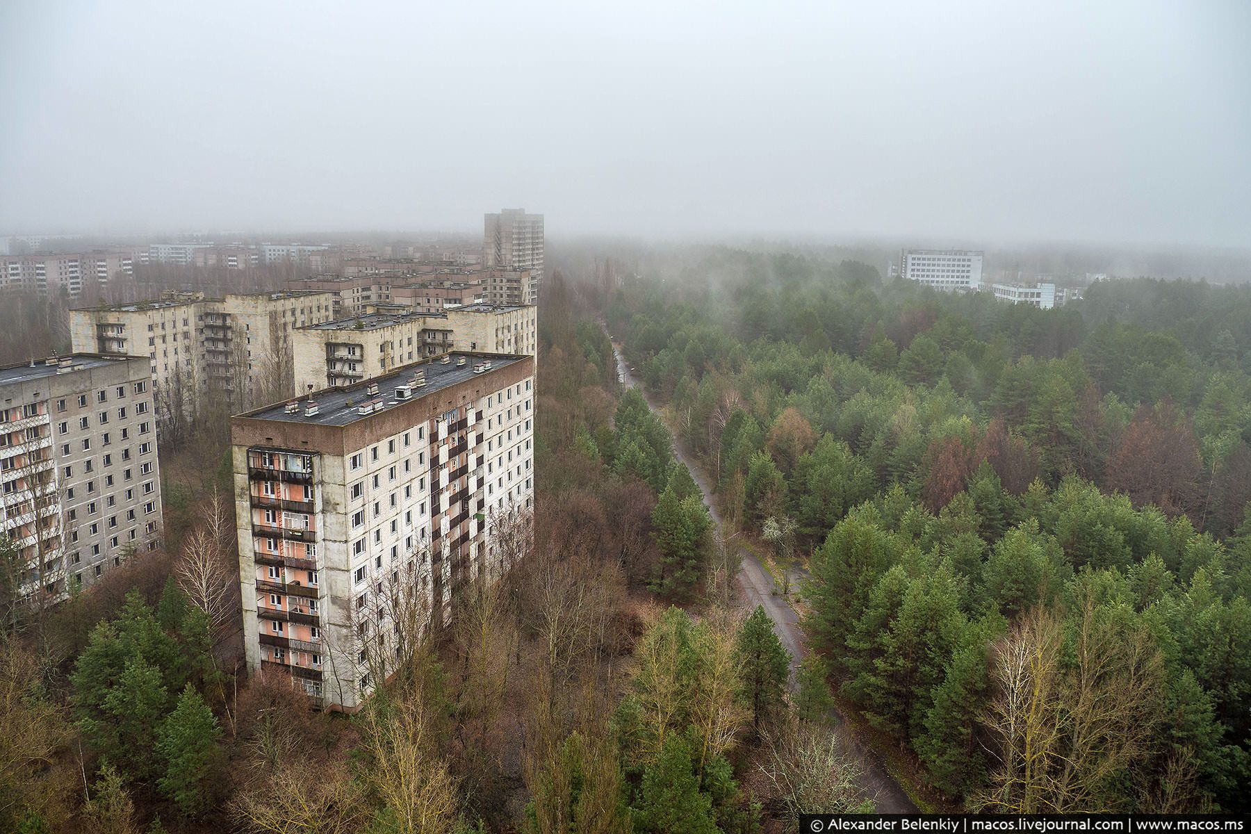 Чернобыльская зона отчуждения открывается для туристов: все подробности