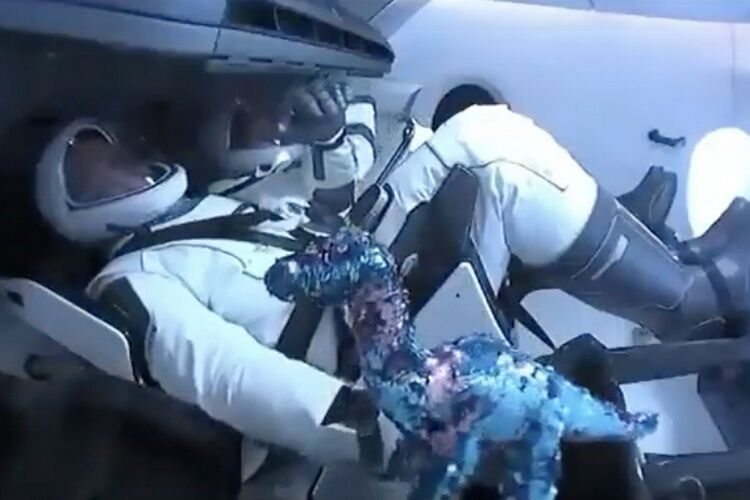 Игрушечный динозавр отправился в космос на корабле Илона Маска