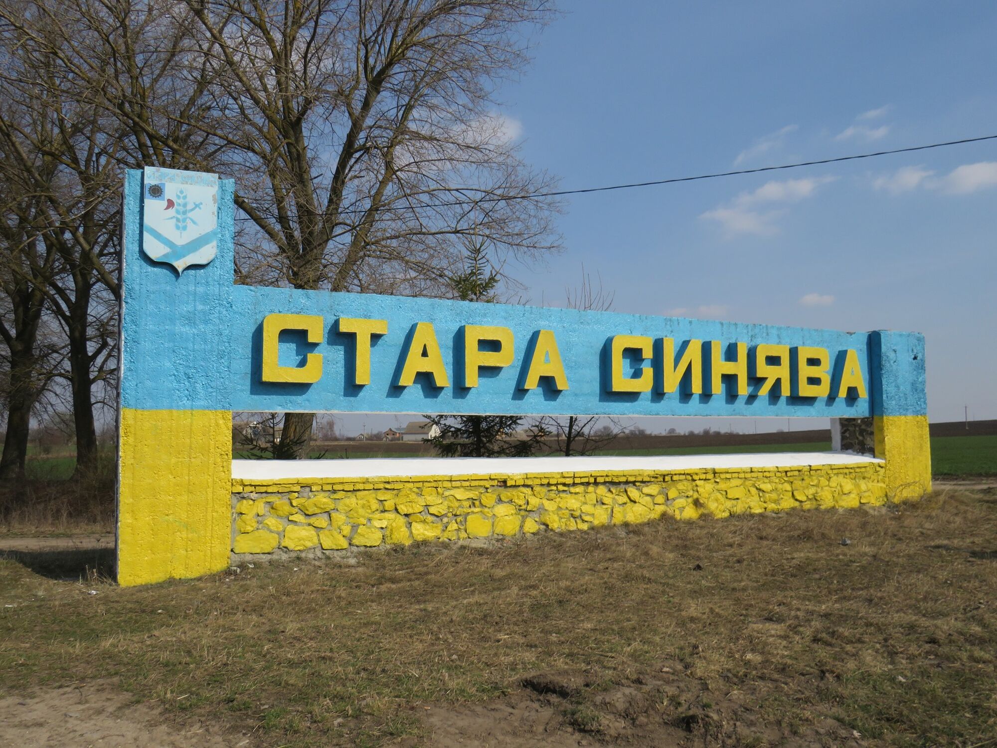 Старосинявський район