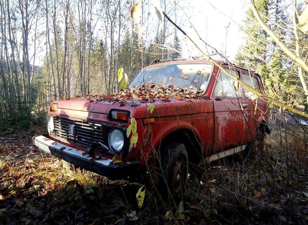 Радянські авто, кинуті у фінському лісі