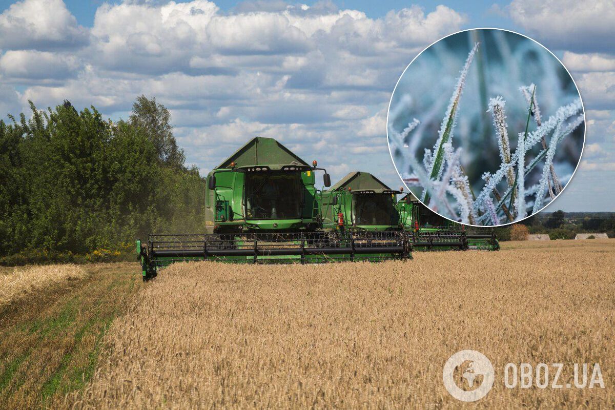 Втрати урожаю через заморозки