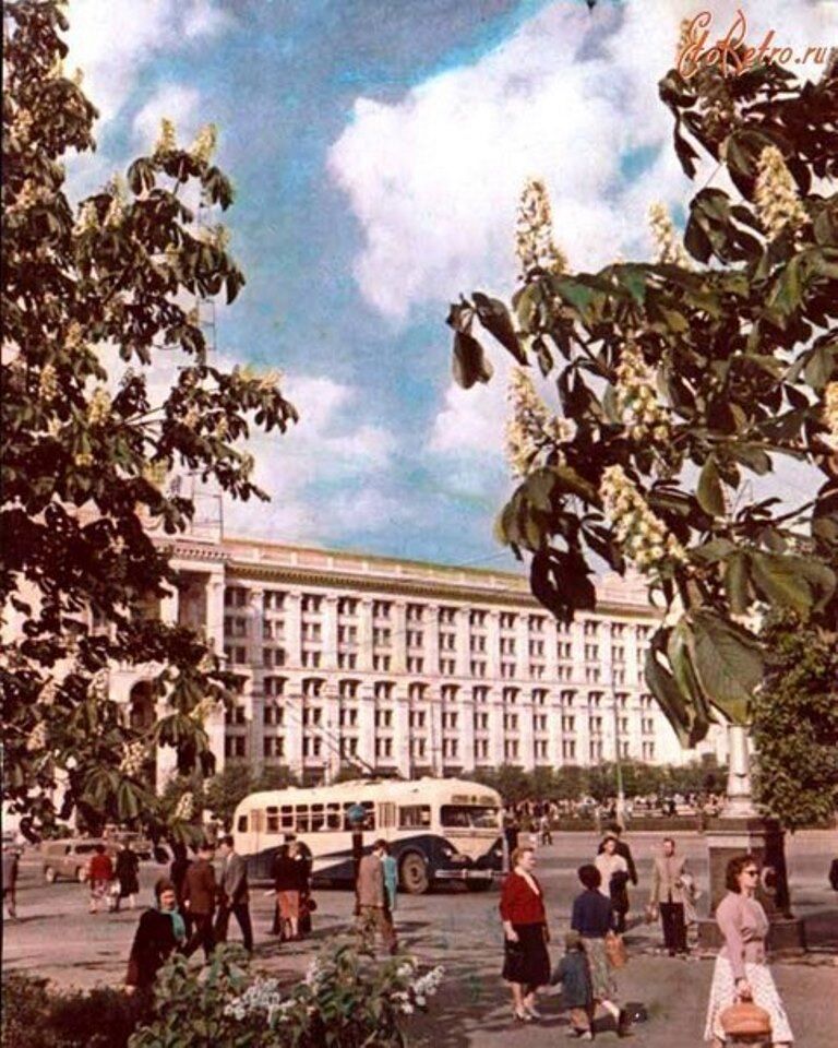 Каштани у Києві