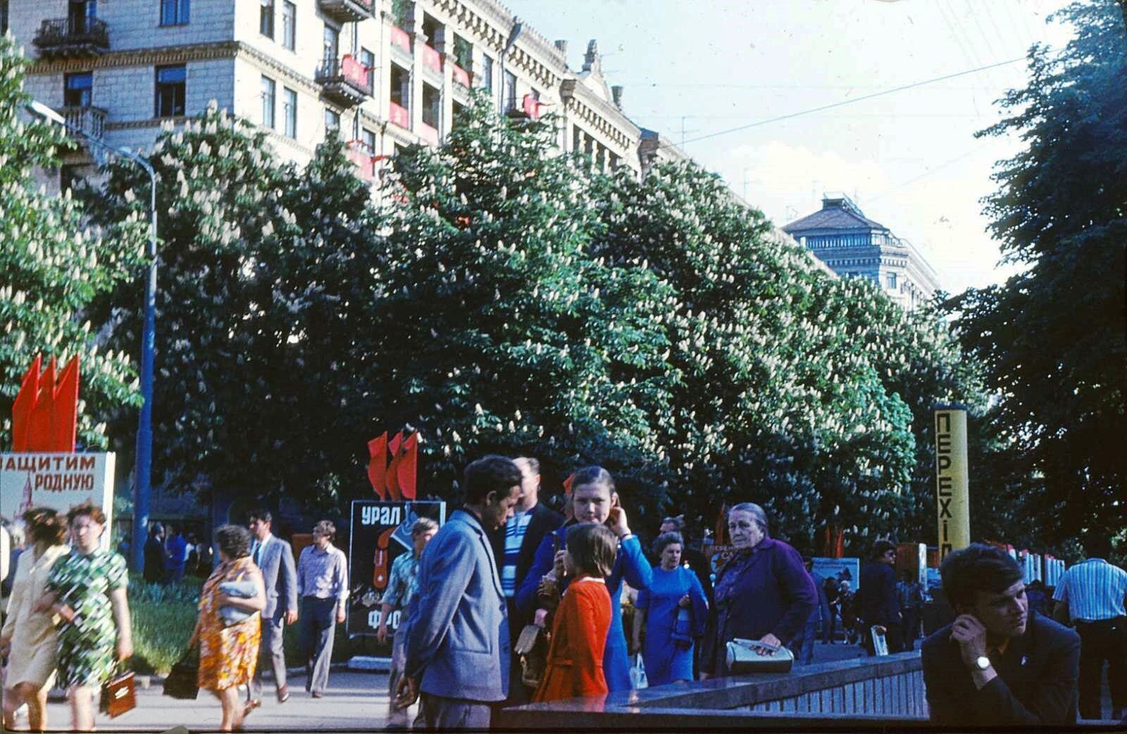 Каштаны в Киеве в 1975 году