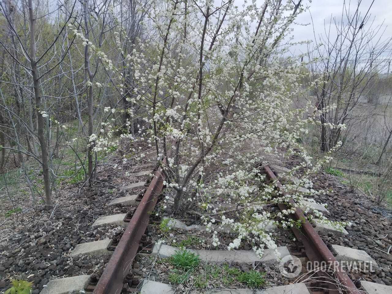 Железная дорога в Донецке, 2020 год