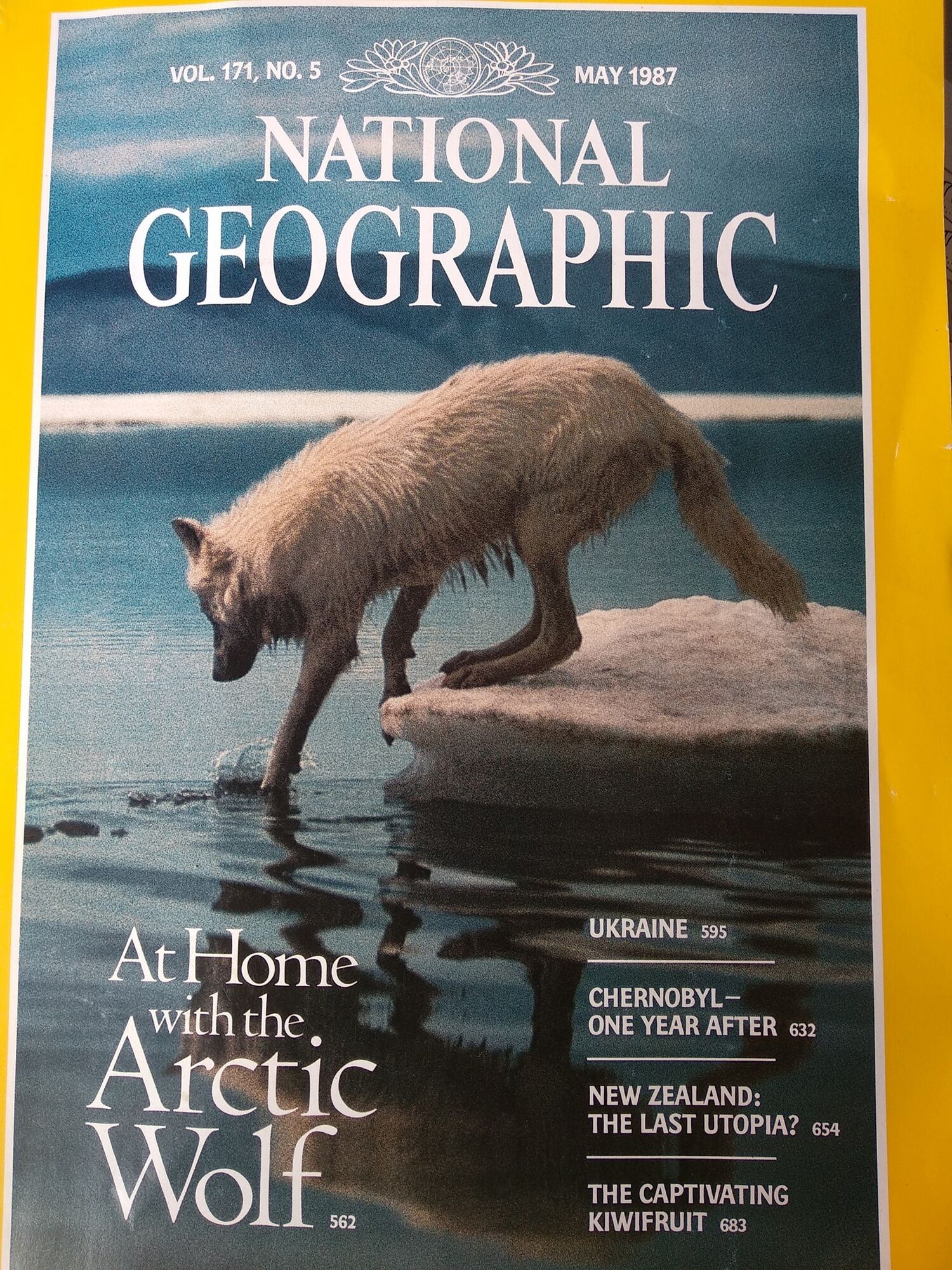 У мережі згадали унікальний репортаж National Geographic з України. Яскраві фото