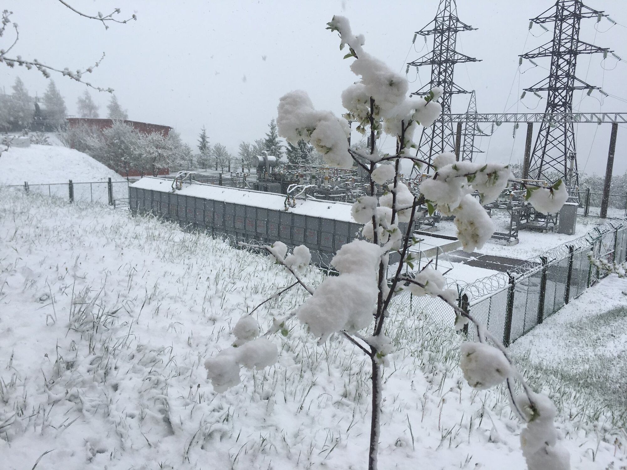 Сніг у Воловці Закарпатської області