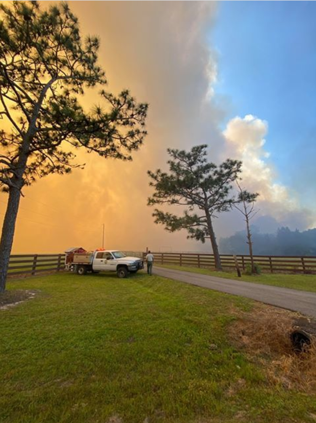 Лісова пожежа у Флориді, США