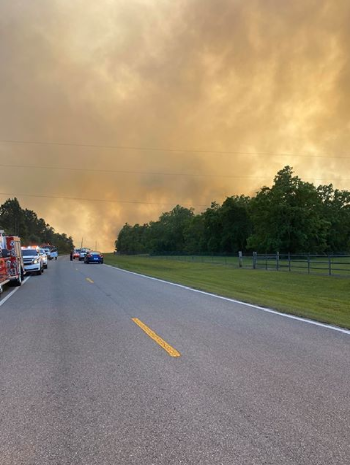 Лісова пожежа у Флориді, США